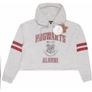 Harry Potter - Hogwarts Alumni Crop Sweater - 2XL - Grijs