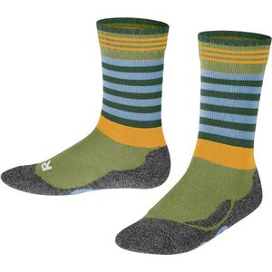 FALKE - Kikkersokken - Unisex - Temperatuurregulerend - Gekleurde Dwarsstrepen