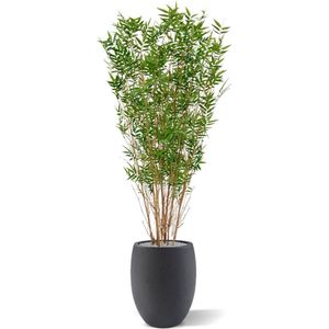 Oriental Bamboe kunstboom 160cm