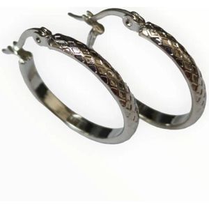 Aramat Jewels Oorringen - Stalen Oorbel ringen - Roestvrij staal - Vrouwen - Volwassenen - [25mm]