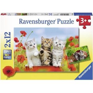 Katjes op Ontdekkingsreis (2x12 Stukjes) - Ravensburger Puzzel