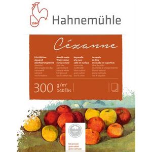 Hahnemuhle Cezanne Aquarelpapier Cold Pressed 300 grams Katoen 56 x 76 cm - 10 vellen