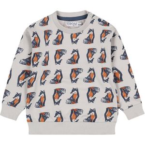Dirkje jongens trui dropped shoulder Light grey - 05 Boys woodland