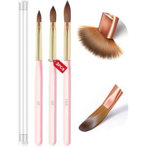 Acryl Nagelborstel Set - Professionele 3 Delige Nagelart Penselen met Houten Handvat voor Nail Art & Extensies