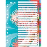 Esselte Colour'Breeze tabbladen, ft A4, 11-gaatsperforatie, PP, set van 20 tabs 6 stuks