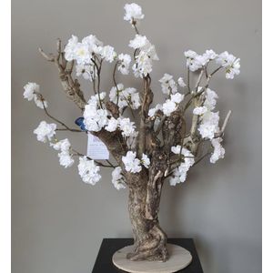 Seta Fiori - Bonsai Kersen Bloesem - Kunstplant - 55cm - Wit - Kerselaar