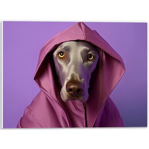 PVC Schuimplaat- Portret van Bruine Duitse Dog Hond in Roze Regenjas - 40x30 cm Foto op PVC Schuimplaat