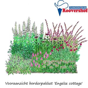 Borderpakket 'Engelse cottage' - rozen, prachtkaars, salie en meer - 24 planten - 3 á 4 m²