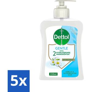 Dettol - Handzeep - Gentle - Kamille & Katoenbloesem - 250 ml - Bulkverpakking - 5 stuks