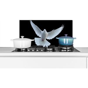 Spatscherm keuken 60x30 cm - Kookplaat achterwand Duif - Vogel - Zwart - Wit - Portret - Muurbeschermer - Spatwand fornuis - Hoogwaardig aluminium