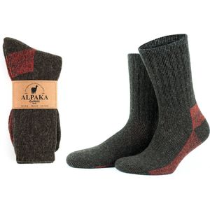 GoWith Alpaca Thermosokken-2 paar-Wollen Sokken-Maat 39-42