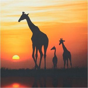 Canvas Africa Sunset