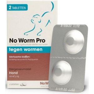 Exil No Worm Pro - Hond - 2 Tabletten