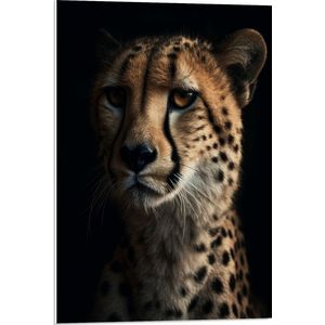 PVC Schuimplaat - Cheetah close up met zwarte achtergrond - 50x75 cm Foto op PVC Schuimplaat (Met Ophangsysteem)