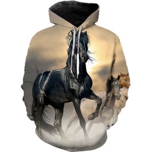 Hoodie paarden - 4XL - vest - sweater - outdoortrui - trui