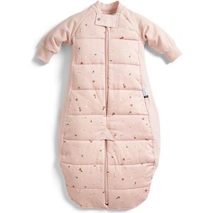 Ergopouch Sleepsuit Slaapzak - 2,5 Tog - 3-12 md - Slaapzak Baby - Slaapzak Baby Winter - Slaapzakken -Daisies