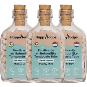 HappySoaps - Kwartaalbox Tandpasta Tabs - Zonder Fluoride - 3 stuks