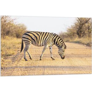 Vlag - Zijaanzicht van Overstekende Zebra - 105x70 cm Foto op Polyester Vlag