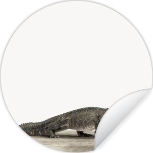 Behangsticker kids - Decoratie voor kinderkamers - Kinderen - Krokodil - Jongen - Kids - Meiden - 120x120 cm - Muurdecoratie meisjeskamer - Kinder decoratie