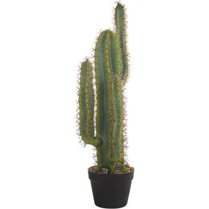 Beliani CACTUS - Kunstplant - Groen - Kunststof