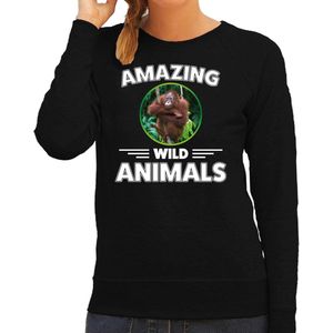 Sweater aap - zwart - dames - amazing wild animals - cadeau trui aap / orang oetan apen liefhebber S