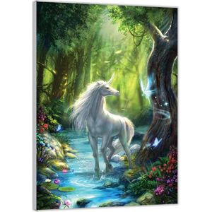 Acrylglas –Getekende Unicorn in Fantasiebos– 60x90 (met ophang)