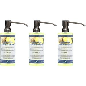Handzeep Fresh Ginger 500 ml - set van 3 stuks - met gratis RVS zilverkleurige pomp - Voordeelverpakking