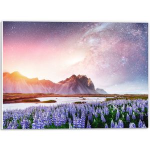 PVC Schuimplaat- Lavendelveld in Landschap met Bergen onder Sterrenhemel - 40x30 cm Foto op PVC Schuimplaat