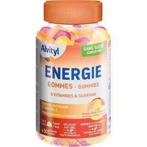 Alvityl® Energie Gummies - Met 8 Vitaminen en Guarana - Suikervrij - Vanaf 18 Jaar - Voor Energie & Vitaliteit - 60 Gummies