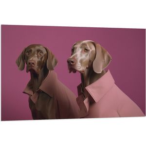 Vlag - Twee Bruine Duitse Dog Honden in Roze Overhemden tegen Roze Achtergrond - 120x80 cm Foto op Polyester Vlag