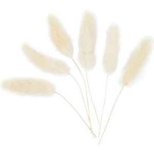 Hazenstaart gras, L: 3-7 cm, 6 stuk/ 1 doos