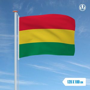 Vlag Carnaval Limburg 120x180cm