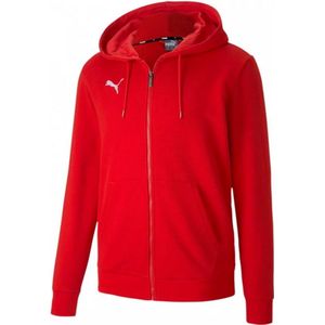 Puma teamgoal 23 casuals jr-hoodie