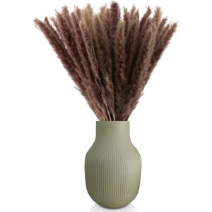 Blumtal Pampas Pluimen - Droogbloemen - Boeket - Set Gedroogde Bloemen - 58 / 60 cm - Naturel - 100 Stuks