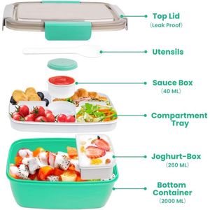 Box Container - lunchbox \ lunchbox adult