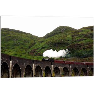 Acrylglas –Stoomtrein Zwart - Wit -90x60 (Met ophang)