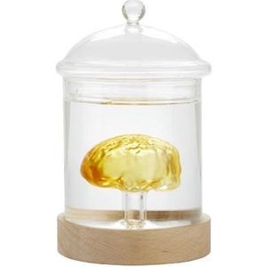 Balvi Hersenen Tafellamp - Breinlamp - Diameter 21 cm - Woondecoratie