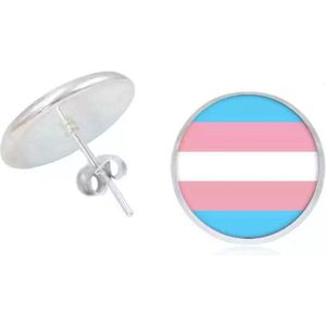 Akyol - Pride Oorbellen -LGBT OORBELLEN - GAYPRIDE OORBELLEN -regenboog oorbellen - lgbtq oorbellen - Regenboog - Pride - Oorbellen - Gay - trans - cadeau - feestdag - respect - equality - gelijk - lgbt |