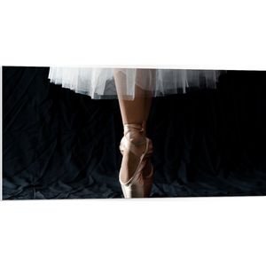 PVC Schuimplaat- Ballerina - Balet - Schoenen - Dansen - 100x50 cm Foto op PVC Schuimplaat