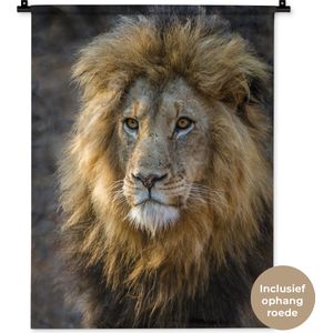 Wandkleed Leeuwen - Leeuwenkoning Wandkleed katoen 60x80 cm - Wandtapijt met foto
