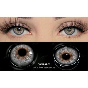 Kleurlens wolf gray (uyaai)