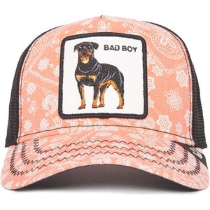 Goorin Bros. Lovesexy Trucker cap - Pink