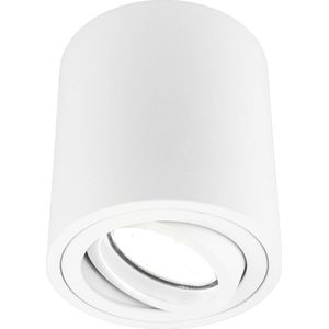 Ledvion, LED Opbouwspots, Dimbare LED Lamp, Plafondlamp, Binnen Lamp, Witte Lamp, Ronde Lamp, Verlichting, 5W, 6500K, IP20, Incl. GU10 Lamp