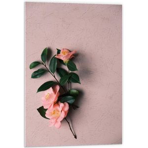 Forex - Roze Bloementakje op Roze Achtergrond - 60x90cm Foto op Forex