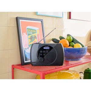 DRAAGBARE RADIO DAB+ & FM RT350DAB THOMSON