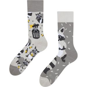 Dedoles Sokken - Wasbeer - Unisex Maat 35-38