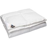 Polydaun Liv - Dekbed - Enkel - Anti-allergeen - Tripleguard Behandeling - Lits-jumeaux