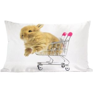 Sierkussens - Kussen - Baby konijn in een winkelwagen - 50x30 cm - Kussen van katoen