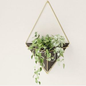Umbra Trigg muurdisplay, Dolomiet, Zwart/goud