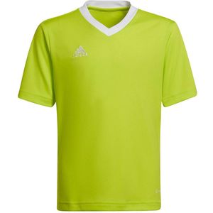 Adidas Entrada 22 T-shirt Met Korte Mouwen Groen 15-16 Years Jongens,Meisjes